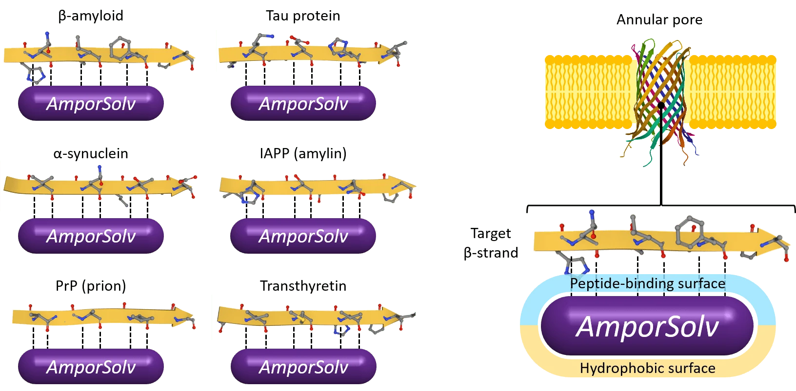 Amporin Technology